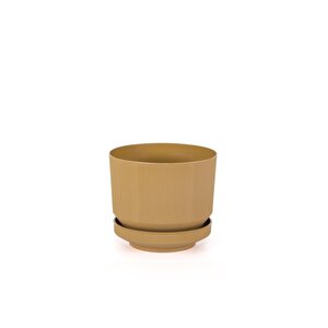 So-s281 Dekoratif Tabaklı Lüks Çizgi Desenli Saksı 1.7 Litre Gold