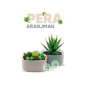 Krs-247 Pera Dekoratif Aranjman Kaktus Sukulent Saksı 1 Litre No 1 Gri