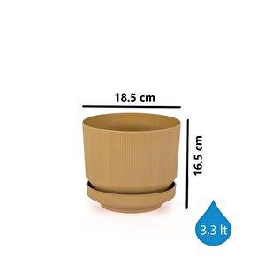 So-s282 Dekoratif Tabaklı Lüks Çizgi Desenli Saksı 3.3 Litre Gold