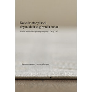 Modern Halı Yıkanabilir Halı Kaymaz Tabanlı Halı Krem Halı Salon Halısı Mutfak Halısı Sisal Halı