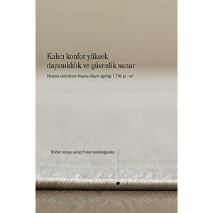 Modern Halı Yıkanabilir Halı Kaymaz Tabanlı Halı Cool Halı Salon Halısı Mutfak Halısı Sisal Halı