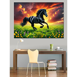 Yeşil Çayırda Kara At Dekoratif Kanvas - Mdf Ahşap Tablo 70x100 cm