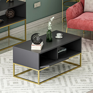 Mira Kapaklı Orta Sehpa, Gold Ayak, Modern Tasarım - 90 Cm, Ev-ofis, Antrasit/gold Antrasit