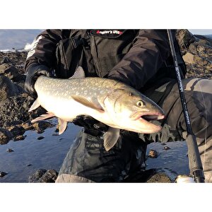 Grandage Northern Lights 106ml 320cm 8-40gr Spin Olta Kamışı