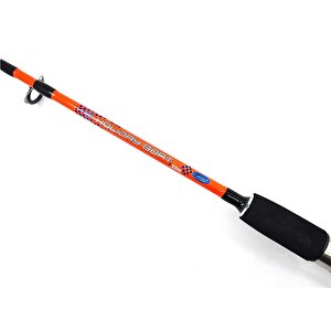 Holiday Boat 1.65m 100-250gr 2 Parça Olta Kamışı