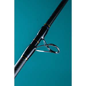 Seaforce 200cm 200-400gr Tekne-bot Kamışı