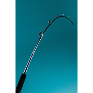 Fujin Seaforce 200cm 200-400gr Tekne-bot Kamışı
