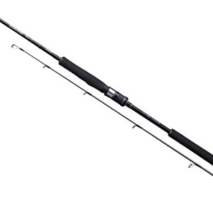 20 Game Type S5108 1,78m 250g 1+1pc Jig Olta Kamışı