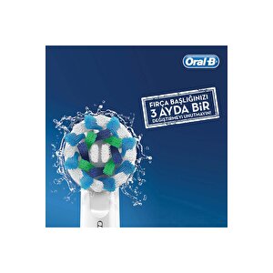 Oral-b Aile Paketi Pro 500 + D100 Frozen Şarjlı Diş Fırçası