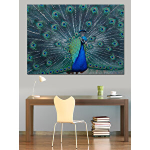 Gösterişli Mavi Tavus Kuşu Dekoratif Kanvas - Mdf Ahşap Tablo 35x50 cm
