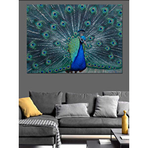 Gösterişli Mavi Tavus Kuşu Dekoratif Kanvas - Mdf Ahşap Tablo 35x50 cm