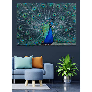 Gösterişli Mavi Tavus Kuşu Dekoratif Kanvas - Mdf Ahşap Tablo