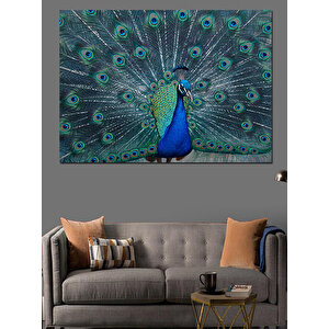 Gösterişli Mavi Tavus Kuşu Dekoratif Kanvas - Mdf Ahşap Tablo 100x140 cm