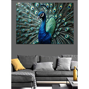 Tavus Kuşu Tüy Detayları Dekoratif Kanvas - Mdf Ahşap Tablo 35x50 cm