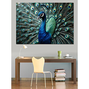 Tavus Kuşu Tüy Detayları Dekoratif Kanvas - Mdf Ahşap Tablo