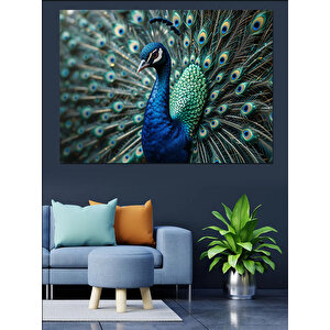 Tavus Kuşu Tüy Detayları Dekoratif Kanvas - Mdf Ahşap Tablo 70x100 cm