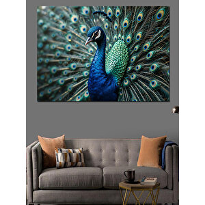 Tavus Kuşu Tüy Detayları Dekoratif Kanvas - Mdf Ahşap Tablo