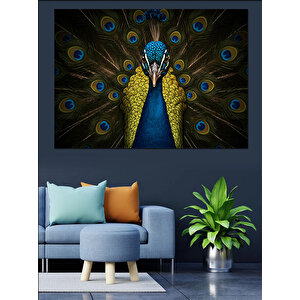 Gururlu Açmış Tavus Kuşu Dekoratif Kanvas - Mdf Ahşap Tablo 100x140 cm