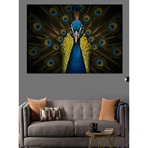 Gururlu Açmış Tavus Kuşu Dekoratif Kanvas - Mdf Ahşap Tablo 100x140 cm