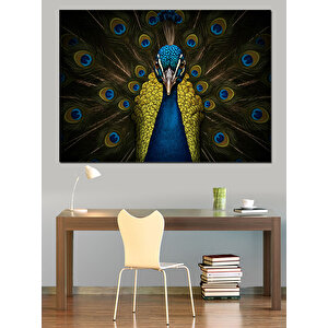 Gururlu Açmış Tavus Kuşu Dekoratif Kanvas - Mdf Ahşap Tablo 100x140 cm