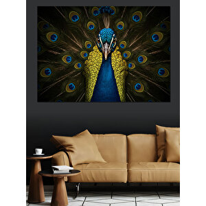 Gururlu Açmış Tavus Kuşu Dekoratif Kanvas - Mdf Ahşap Tablo