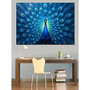 Gösterişli Mavi Tavus Kuşu Dekoratif Kanvas - Mdf Ahşap Tablo