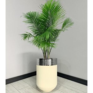 Elegant Dekoratif Krom Darbuka Krem Saksı 60cm Elgnt60krmsakb