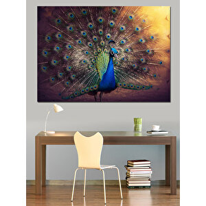 Tavuskuşu Kuyruk Açılımı Dekoratif Kanvas - Mdf Ahşap Tablo