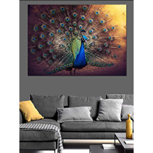 Tavuskuşu Kuyruk Açılımı Dekoratif Kanvas - Mdf Ahşap Tablo