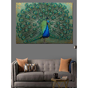 Görkemli Tavuskuşu Kuyruğu Dekoratif Kanvas - Mdf Ahşap Tablo 100x140 cm