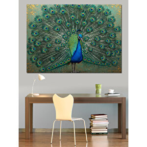 Görkemli Tavuskuşu Kuyruğu Dekoratif Kanvas - Mdf Ahşap Tablo