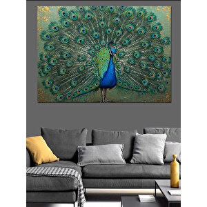 Görkemli Tavuskuşu Kuyruğu Dekoratif Kanvas - Mdf Ahşap Tablo