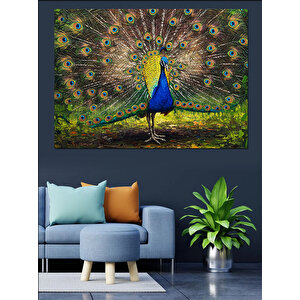 Tüylerini Açan Tavuskuşu Dekoratif Kanvas - Mdf Ahşap Tablo 100x140 cm