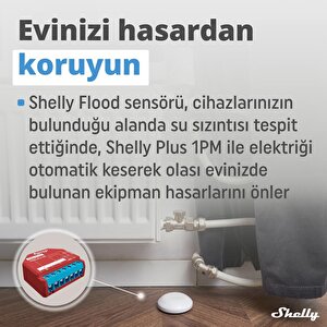 Shelly Flood Su Baskını Ve Sıcaklık Sensörü