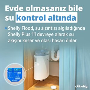 Shelly Flood Su Baskını Ve Sıcaklık Sensörü