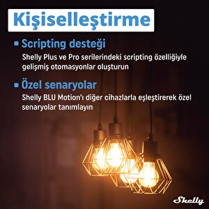 Shelly Blu Motion Bluetooth Hareket Sensörü