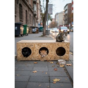 Kedi Evi Dış Ortam Uygun 3 Bölmeli Ahşap Kedi Evi Osb 93x41x39 Cm ( Demonte Gönderilir) - CAT11