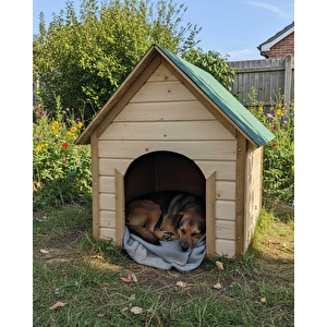 Reyo Pet Suya Soğuğa Dayanıklı Lüks Büyük Boy Ahşap Köpek Kulubesi Sokak Köpek Evi Yeşil Çatılı 100x100x78 Cm Ceviz