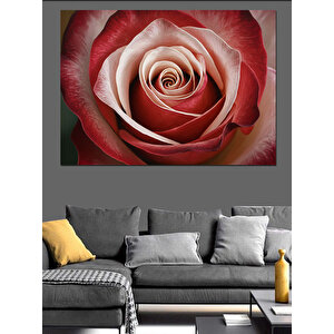 Yakın Plan Gül Detayı Dekoratif Kanvas - Mdf Ahşap Tablo 35x50 cm