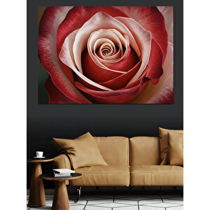 Yakın Plan Gül Detayı Dekoratif Kanvas - Mdf Ahşap Tablo 50x70 cm