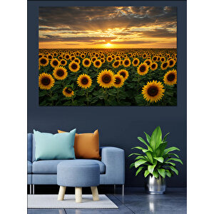 Gün Batımında Ayçiçekleri Dekoratif Kanvas - Mdf Ahşap Tablo 100x140 cm