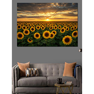 Gün Batımında Ayçiçekleri Dekoratif Kanvas - Mdf Ahşap Tablo 100x140 cm