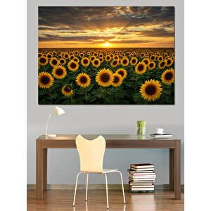 Gün Batımında Ayçiçekleri Dekoratif Kanvas - Mdf Ahşap Tablo 100x140 cm