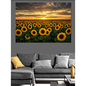 Gün Batımında Ayçiçekleri Dekoratif Kanvas - Mdf Ahşap Tablo