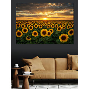 Gün Batımında Ayçiçekleri Dekoratif Kanvas - Mdf Ahşap Tablo