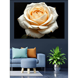 Siyah Zeminde Solgun Gül Dekoratif Kanvas - Mdf Ahşap Tablo 50x70 cm