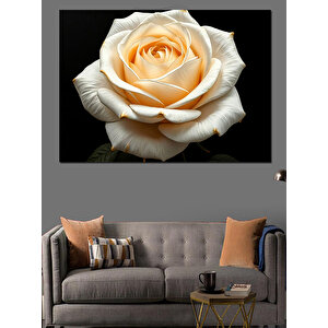 Siyah Zeminde Solgun Gül Dekoratif Kanvas - Mdf Ahşap Tablo