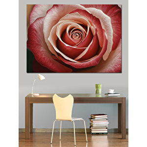 Yakın Plan Spiral Gül Dekoratif Kanvas - Mdf Ahşap Tablo 70x100 cm