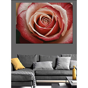 Yakın Plan Spiral Gül Dekoratif Kanvas - Mdf Ahşap Tablo