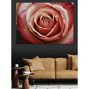 Yakın Plan Spiral Gül Dekoratif Kanvas - Mdf Ahşap Tablo